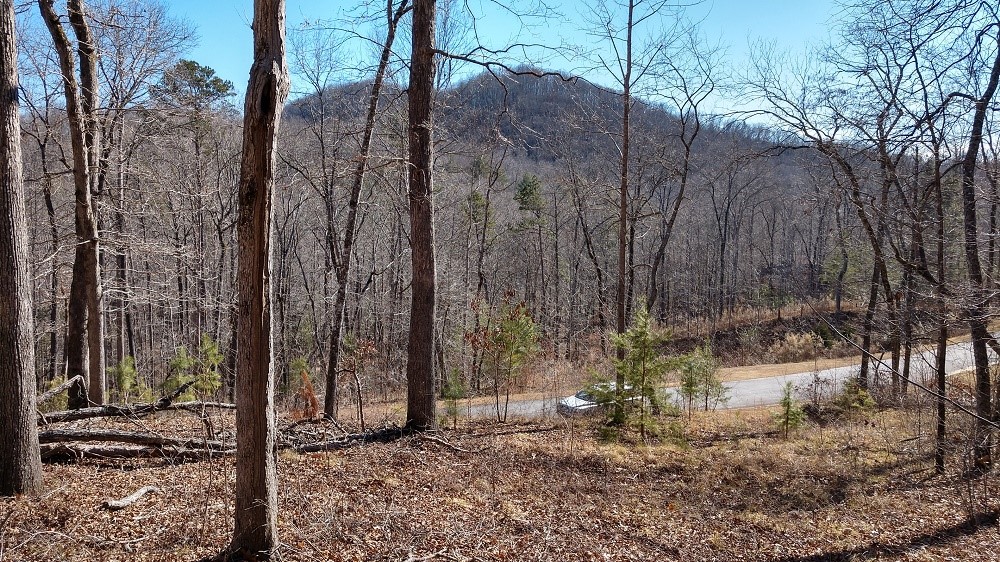 Property image 1 at 135 Julie Way, Pickens, SC 29671