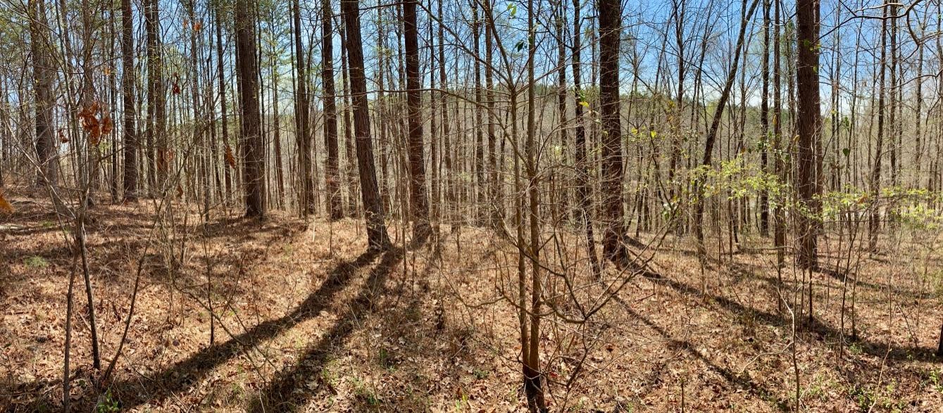 Property image 1 at Lot 125 Longwood Drive, Seneca, SC 29672
