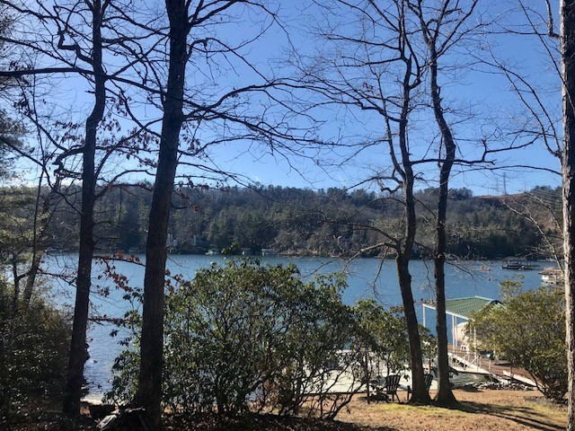 Property image 1 at 105 Crystal Cove, Salem, SC 29676