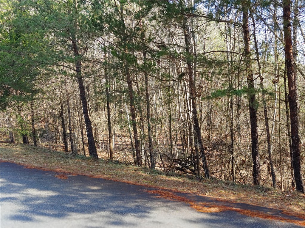 Property image 1 at 105 Hard Cash Lane, Fair Play, SC 29643