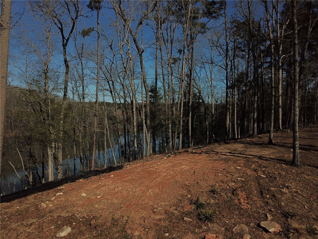 Property image 1 at Lot 50 Clear Pointe Trail, Seneca, SC 29672