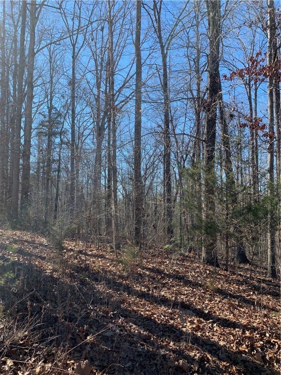 Property image 1 at 115 Ivy Woods Drive, Easley, SC 29642