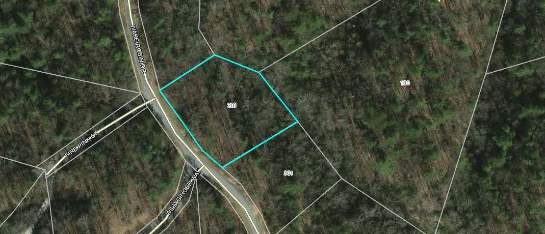 Property image 1 at 203 Wake Robin Drive, Sunset, SC 29685