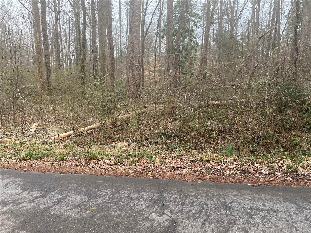 Property image 1 at #42 Brook Lane, Seneca, SC 29678