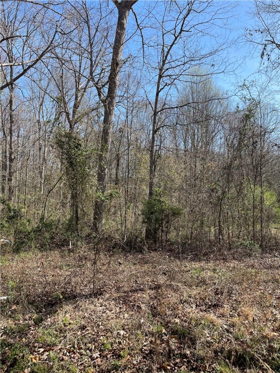 Property image 1 at 205 Chantilly Circle, Starr, SC 29684