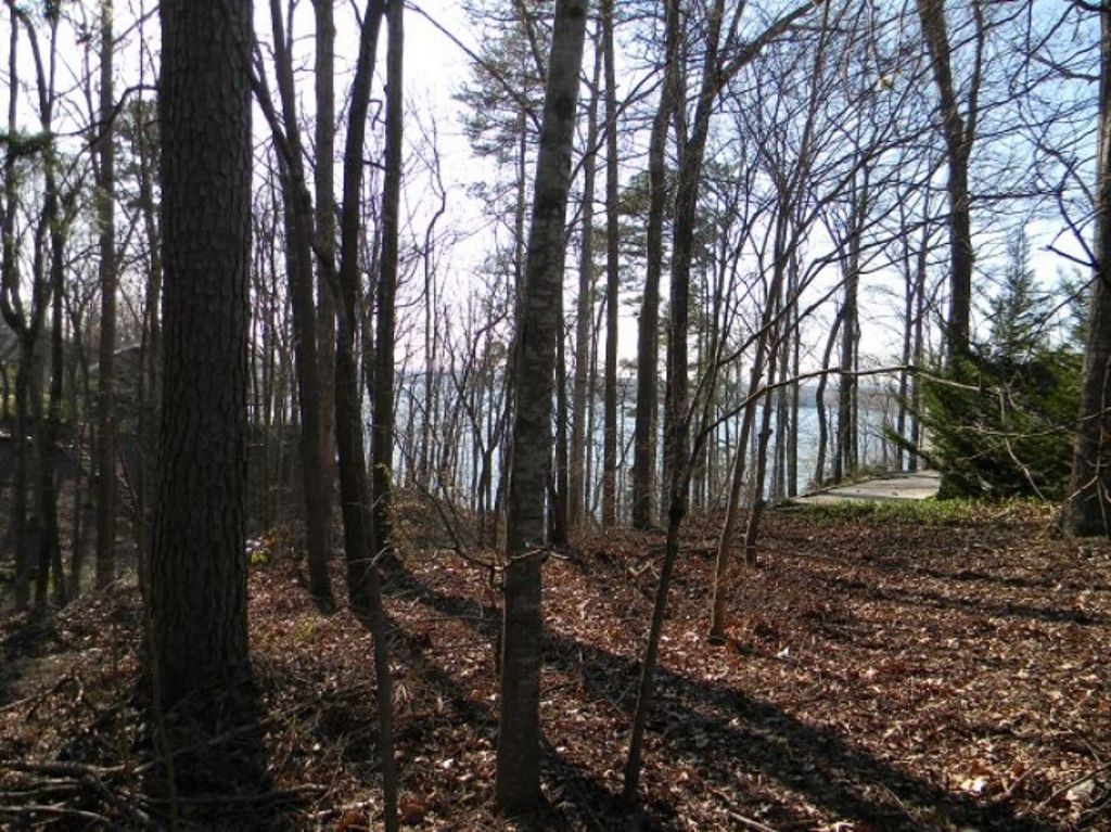 1002 Gaineswood Cove