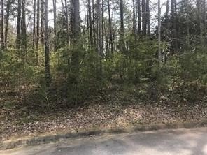 Property image 1 at Lot 52 Beacon Ridge Drive, Seneca, SC 29672