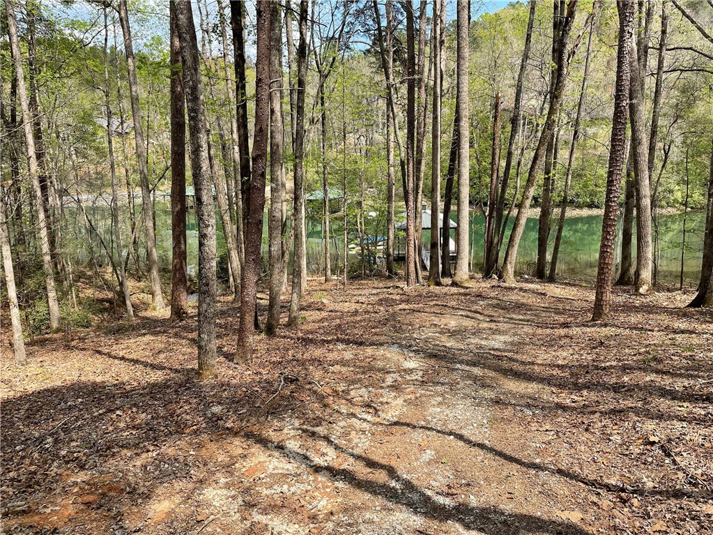 Property image 1 at 106 Mossy Way, Six Mile, SC 29682