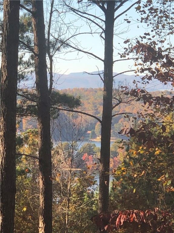 Property image 1 at 108 Reflection Court, Six Mile, SC 29682