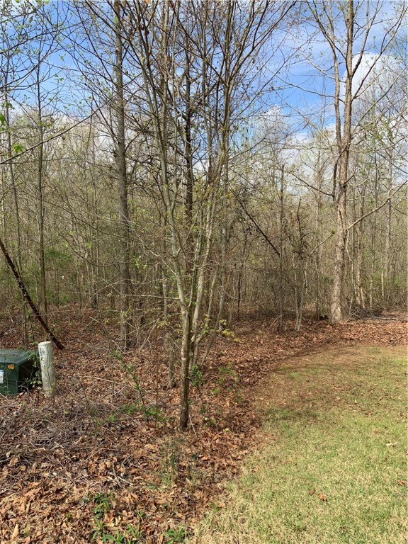 Lot 13 Summer Walk Court