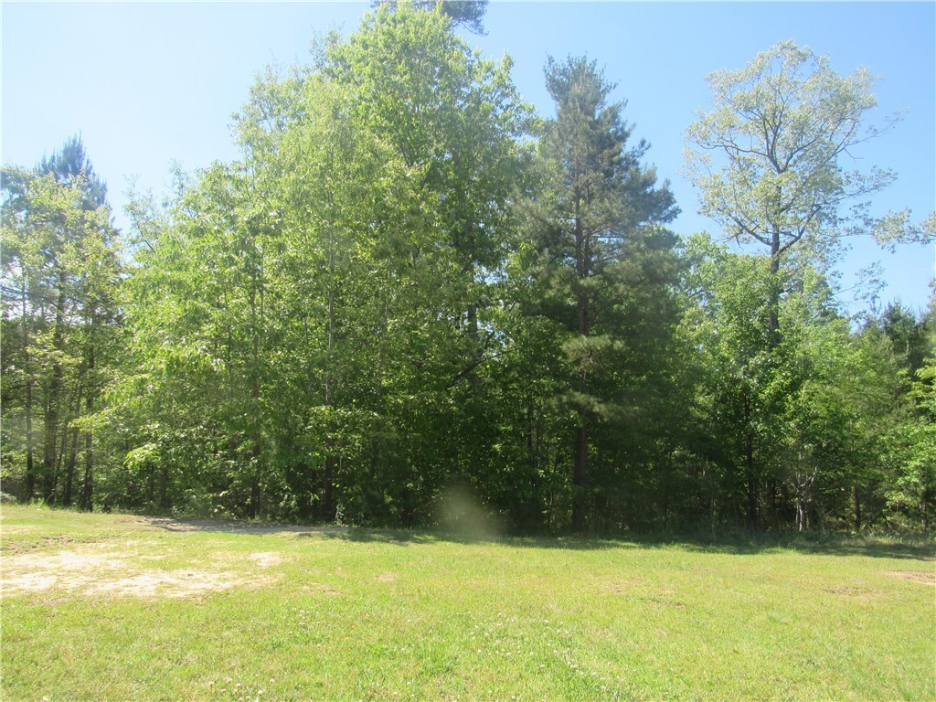 Property image 1 at 110 Trout Lily Lane, Sunset, SC 29685