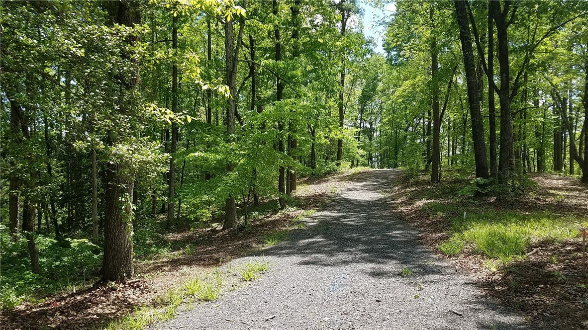 Lot 6 Bird Feather Lane