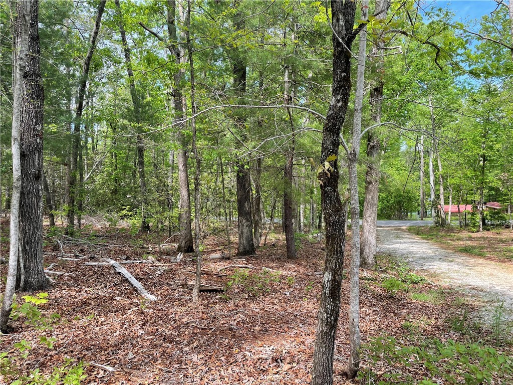 Property image 1 at 662 West Cove Road, Mountain Rest, SC 29664