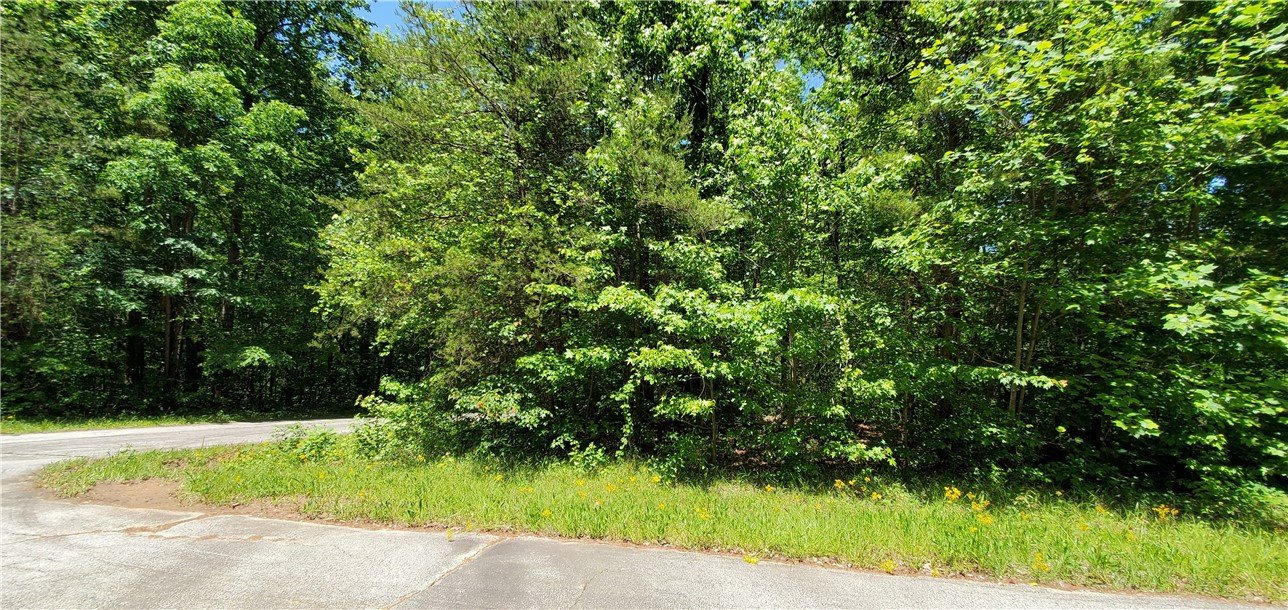 Property image 1 at Lot 196 Richfield Drive, Westminster, SC 29693