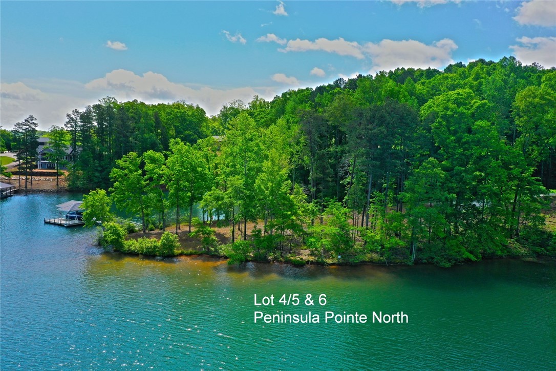 Property image 1 at Lots 4/5 & 6 Peninsula Pointe North, West Union, SC 29696