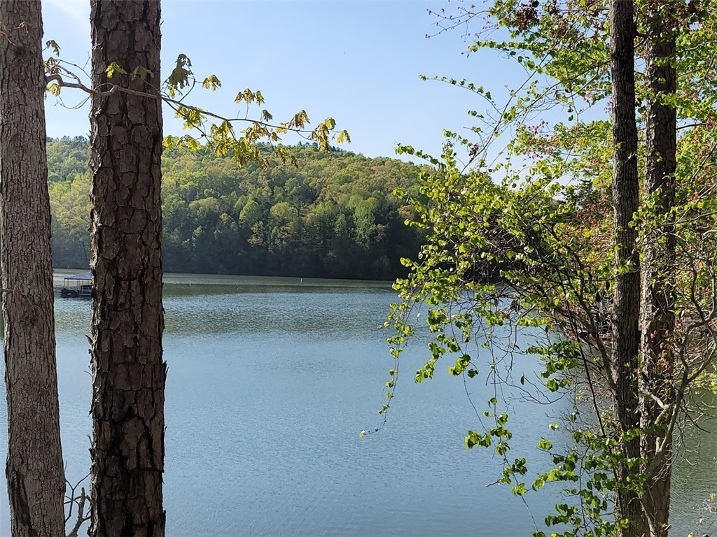 528 Riverstone Drive