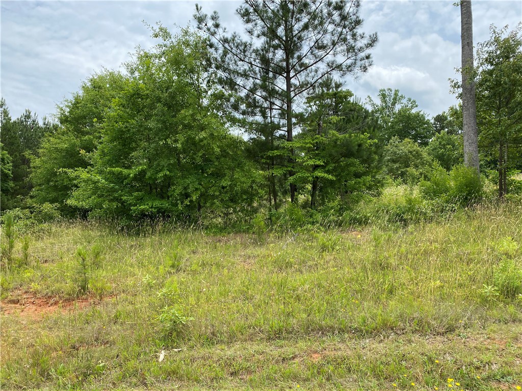 Property image 1 at Lot 24 Bay Ridge Drive, Townville, SC 29689