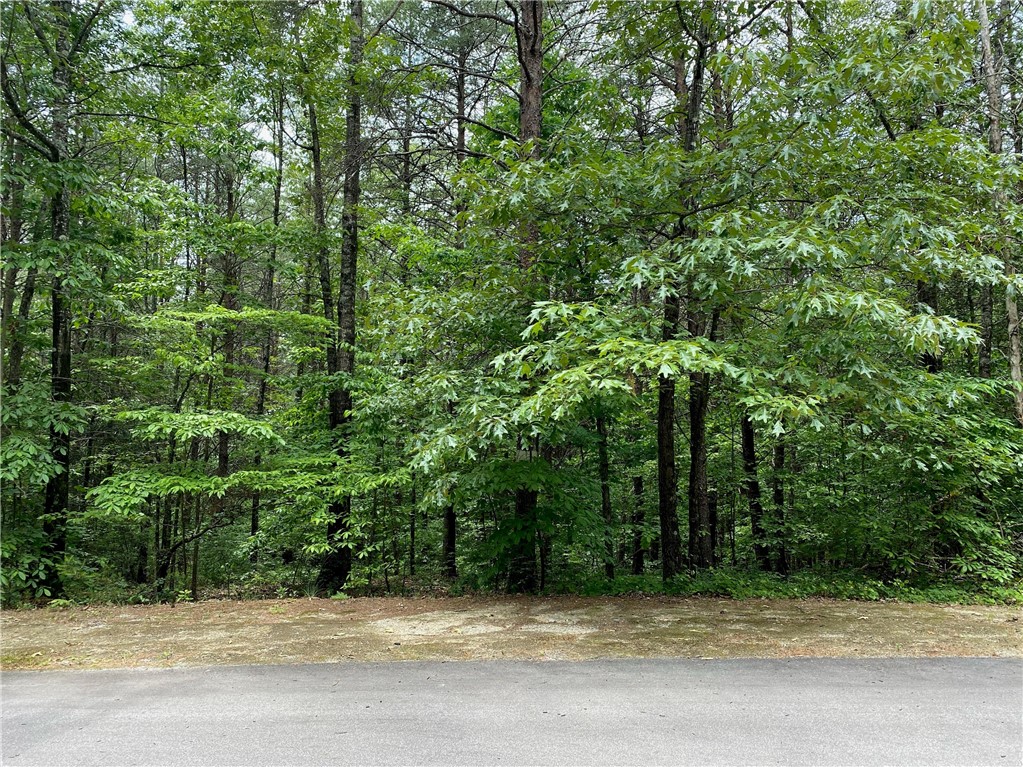 Property image 1 at 508 Vineyard Park, Sunset, SC 29685