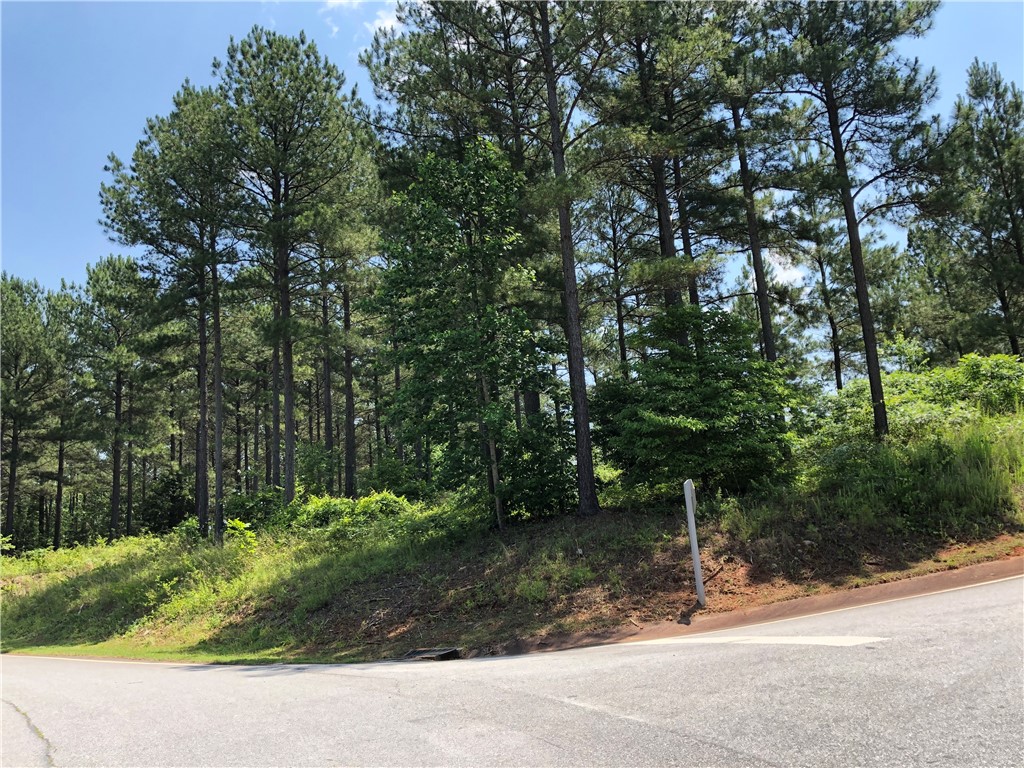 Property image 1 at 206 Bentwood Way, Salem, SC 29676