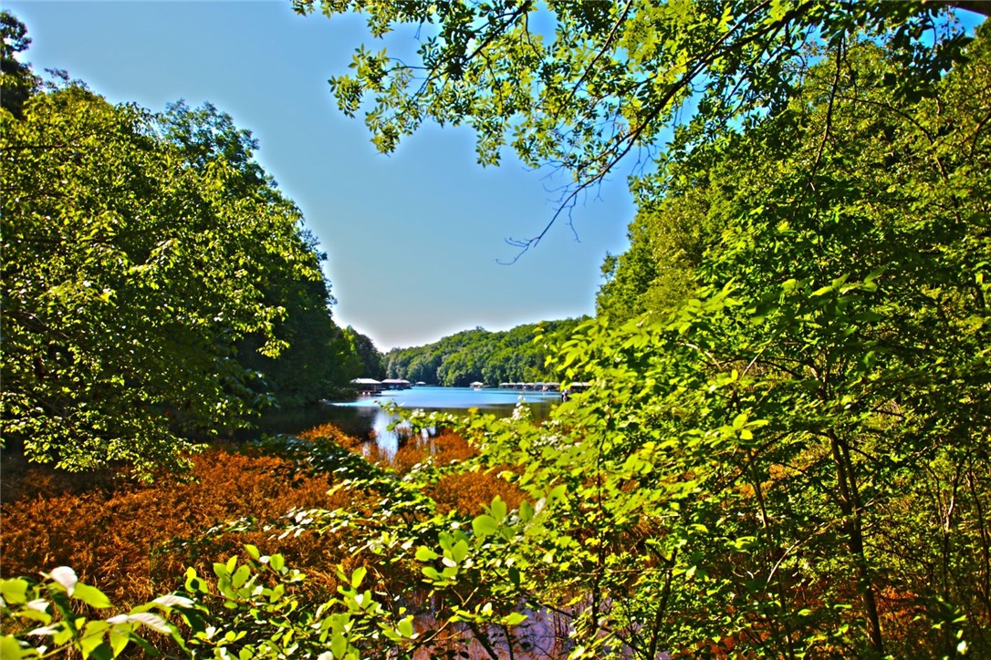 Property image 1 at Lot 11 Estates at Riverstone, Salem, SC 29676