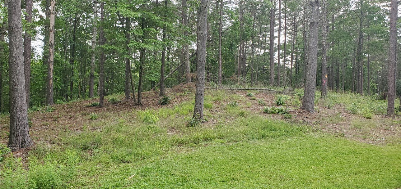 Property image 1 at Lot 22 Vineyard Park, Sunset, SC 29685