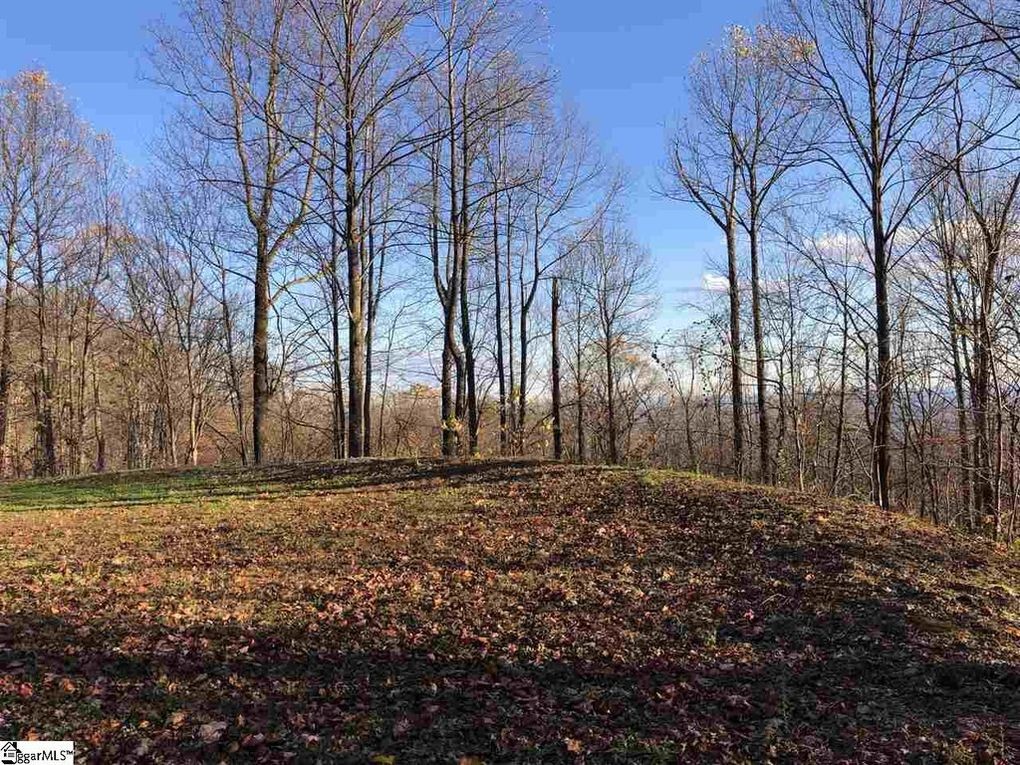 Property image 1 at 275 Lost Trail Drive, Landrum, SC 29356