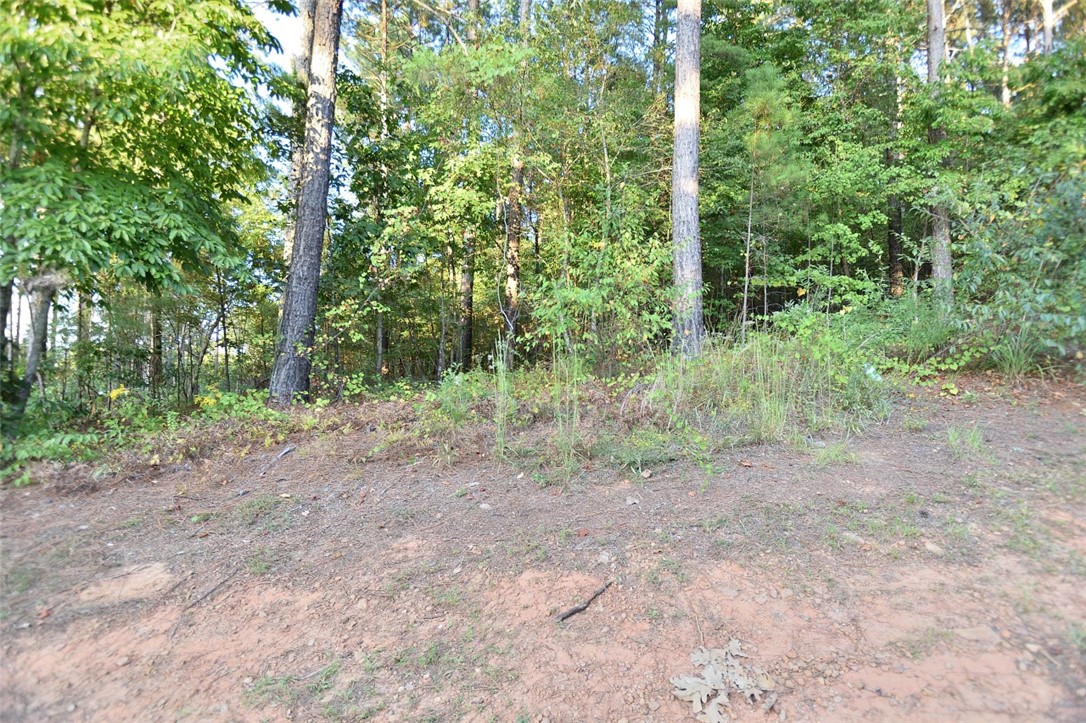 Property image 1 at 601 Waterside Crossing, Seneca, SC 29672