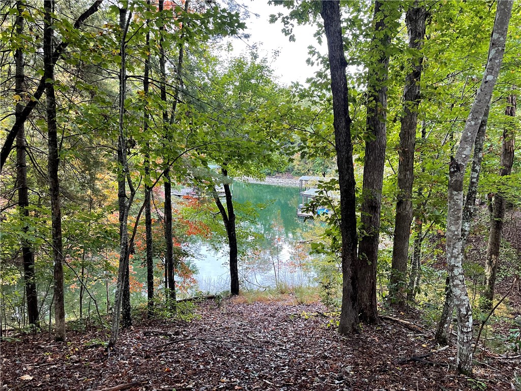 Property image 1 at 601 Wind Flower Drive, Sunset, SC 29685