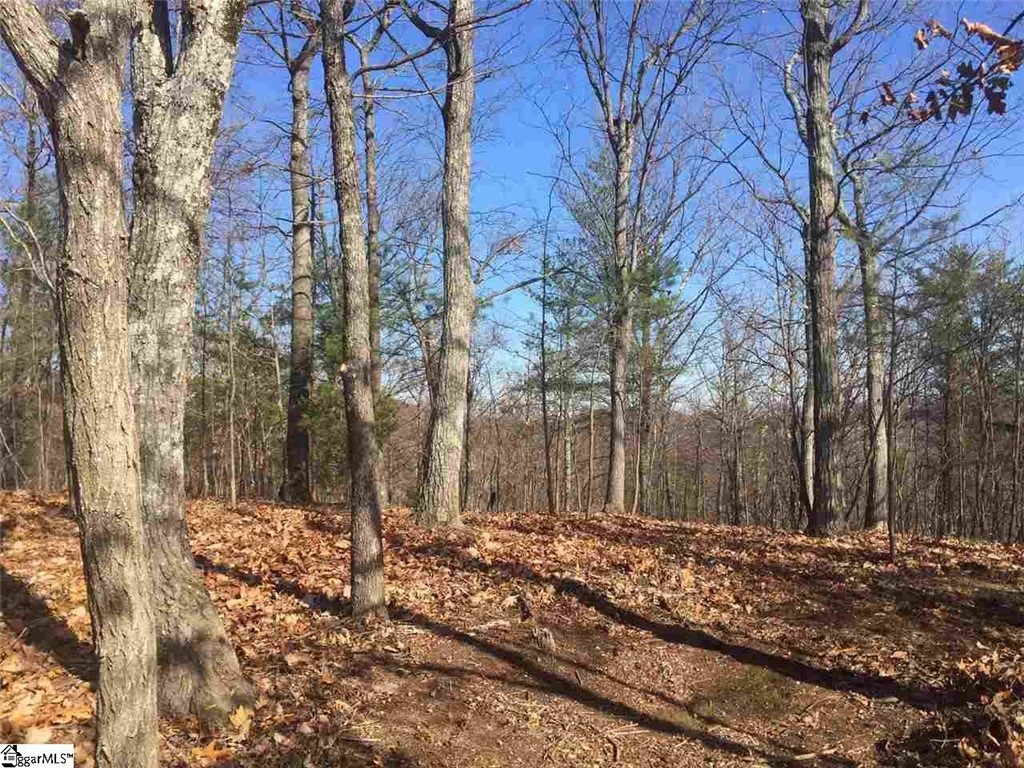 Property image 1 at 109 Eagle Rock Road, Landrum, SC 29356