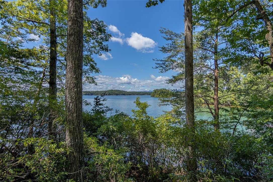 Property image 1 at Lot 135 Hermitage Drive, Six Mile, SC 29682