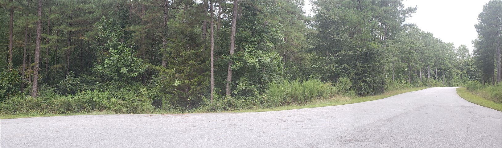 Property image 1 at Lot 152 Watercrest Road, West Union, SC 29696