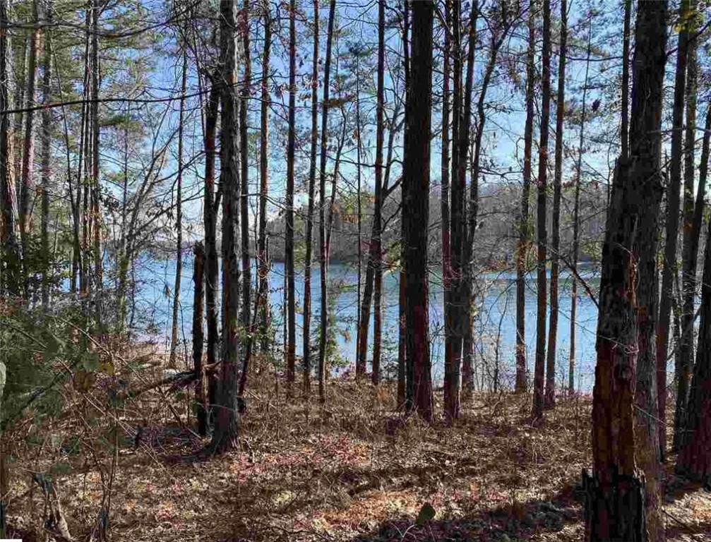 Property image 1 at 122 Wynward Pointe Drive, Salem, SC 29676