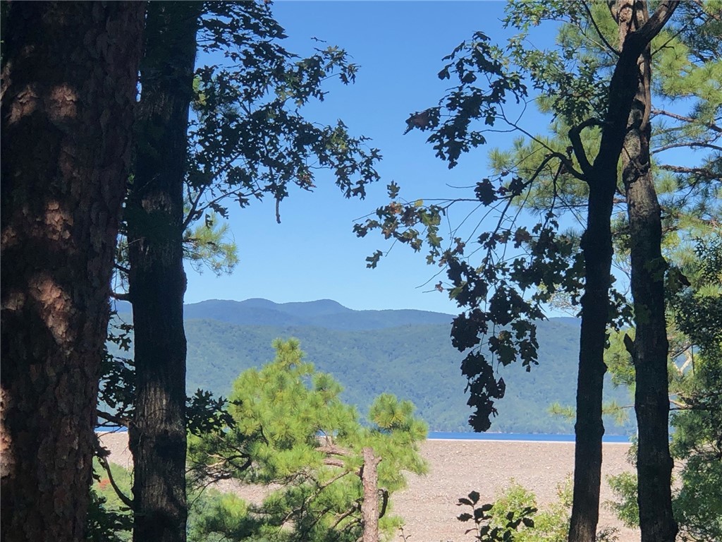 Property image 1 at 202 Buttercup Way, Sunset, SC 29685