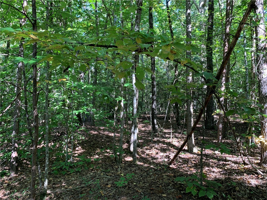 Lot S The Bear Boulevard