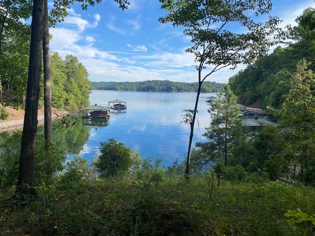 Property image 1 at 404 Basswood Court, Salem, SC 29676