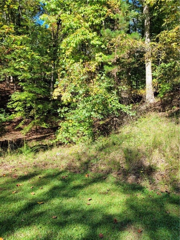 Property image 1 at 00 Cedar Creek Road, Sunset, SC 29685