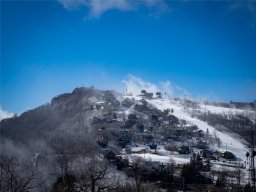 301 Pinnacle Inn Road