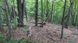 Lot 69 Mountain Crest Drive