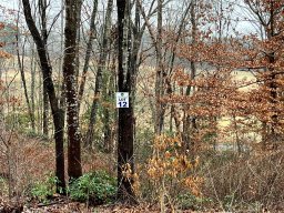 175 Broken Arrow Drive