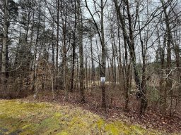 348 Broken Arrow Drive