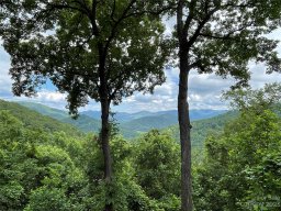 99999 Winding Poplar Road