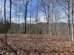 195 Fallen Oak Drive