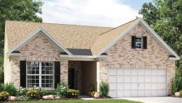 11206 Dappled Light Trail