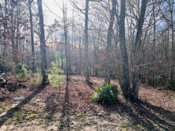 404 Lookout Dam Road