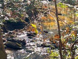 Lot 30 S Cross Creek Trail