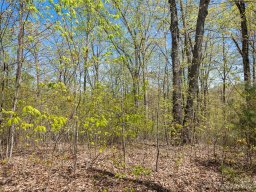 63 Chimney Crest Drive