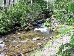 000 Chestnut Flats Lane