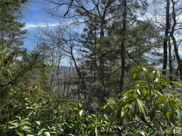 Lot M35 Pine Mountain Road