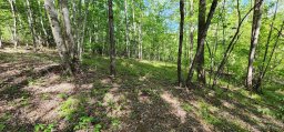 Lot 24 S Cross Creek Trail