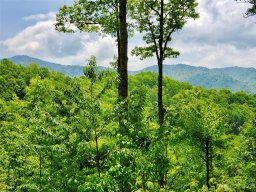 23 Screech Owl Circle